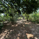 Terreno à venda em Residencial Emilio de Andrade, Ponta Porã, MS