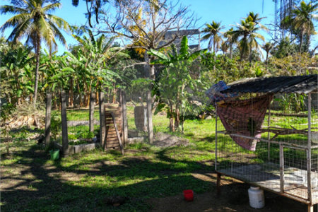 Área de Terra à venda com 1 quarto em Santa Cruz, Rio de Janeiro, RJ