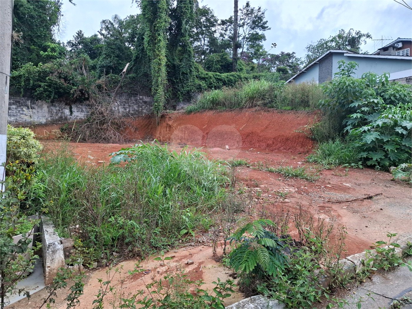 Terreno à venda em Vila Albertina, São Paulo, SP
