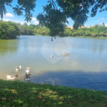 Casa à venda com 4 quartos, sendo 3 suítes, no condomínio Ibiti do Paço, Sorocaba - SP