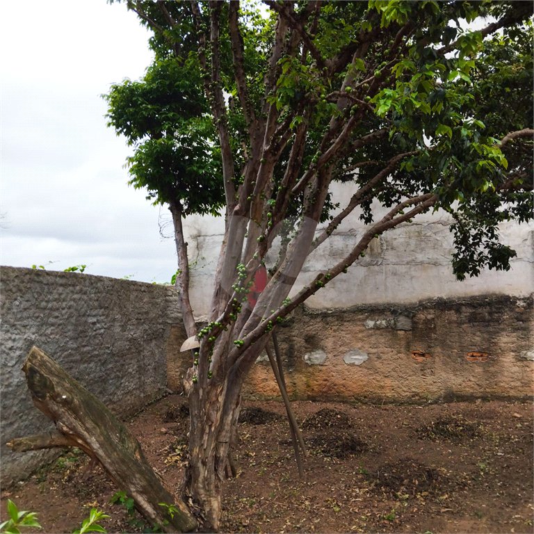 Sobrado à venda com 3 suítes em Tremembé, São Paulo, SP
