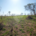Terreno à venda em Recanto das Acácias, São Roque, SP