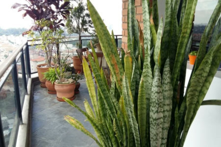 Apartamento à venda com 3 quartos, sendo 2 suítes,  em Jardim Parque Morumbi, São Paulo, SP