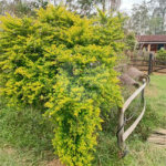 Sítio à venda com 2 quartos em Área Rural de Lagoinha, Lagoinha, SP