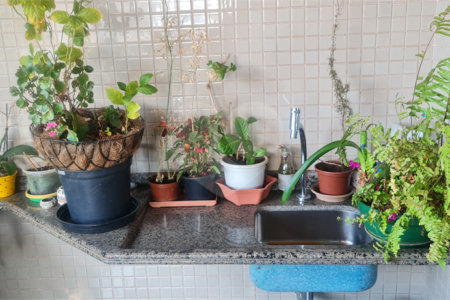 Apartamento à venda com 3 quartos, sendo 2 suítes, em Jardim Vila Mariana, São Paulo, SP