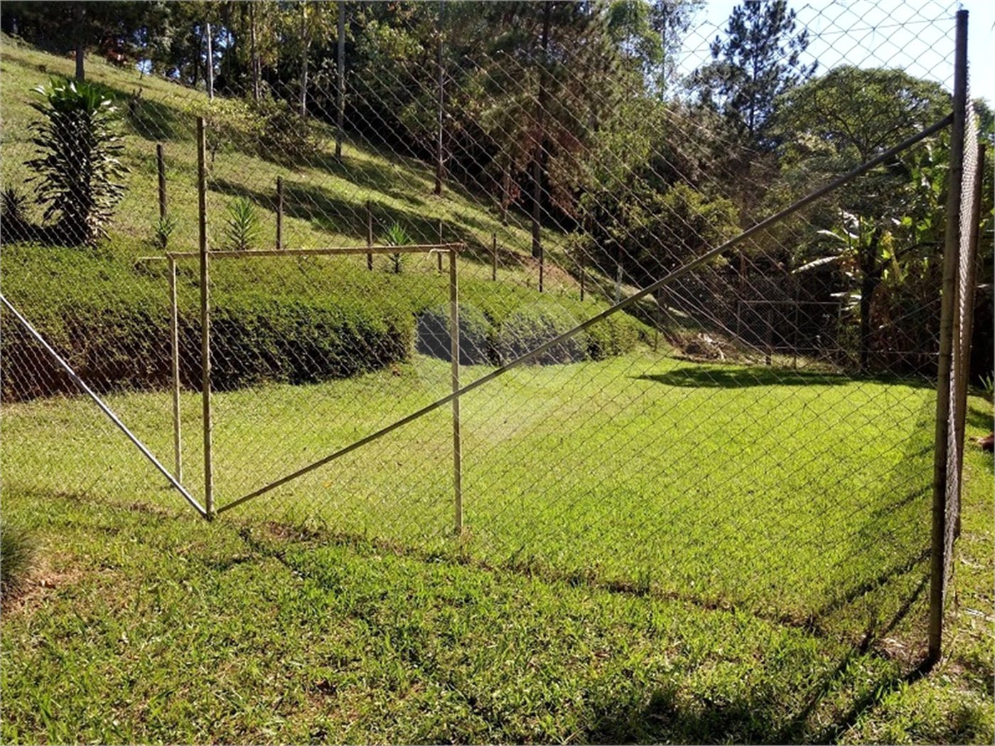 Sítio à venda com 6 quartos, sendo 2 suítes, em Nova Trieste, Jarinu, SP