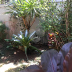 Sobrado à venda com 4 quartos, sendo 1 suíte, em Jardim Novo Mundo, São Paulo, SP