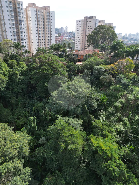 Terreno à venda em Paraisópolis, São Paulo, SP