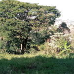 Terreno à venda em Bosque, Vinhedo, SP
