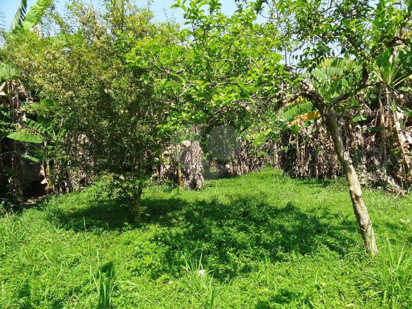 Terreno à venda em Horto Florestal, São Paulo, SP
