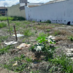 Terreno para venda no Parque dos Flamboyant em São Carlos.
