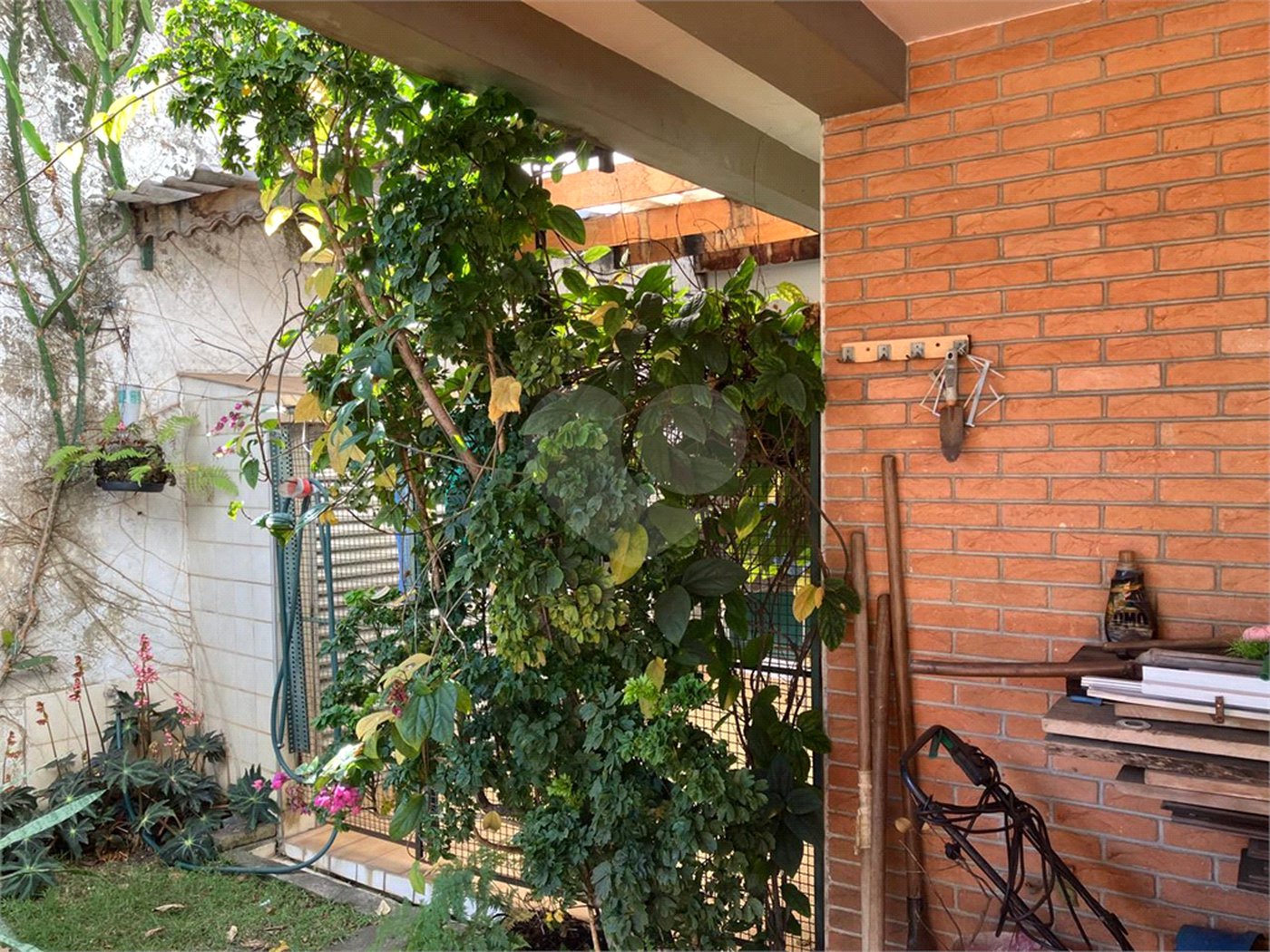 Casa à venda com 5 quartos, sendo 2 suítes,  em Vila Maria Alta, São Paulo, SP