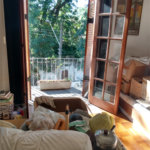 Casa à venda com 6 quartos, sendo 2 suítes, em Tremembé, São Paulo, SP
