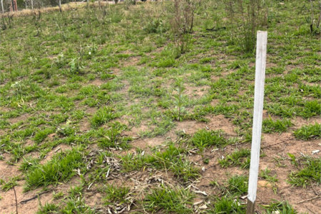 Terreno à venda em Recanto das Acácias, São Roque, SP