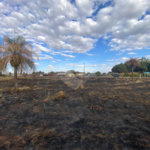 Terreno à venda em Sanga Puita, Ponta Porã, MS