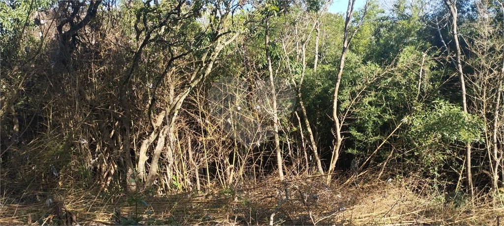 Terreno à venda em Vila Rosa, Itapetininga, SP