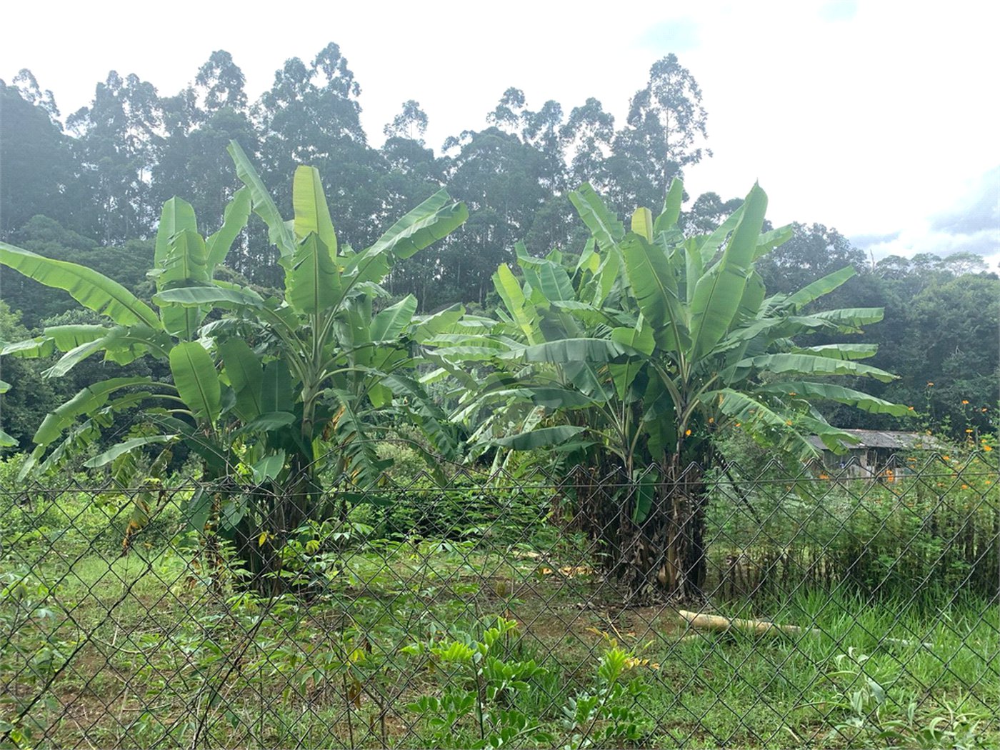 Chácara à venda em Sorocamirim (canguera), São Roque, SP
