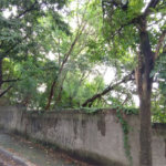 Terreno à venda em Vila Suzana, São Paulo, SP