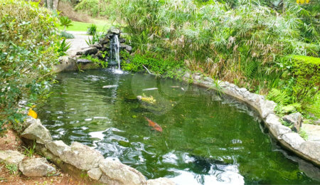 Terreno à venda em Jardim São Vicente, Cotia, SP