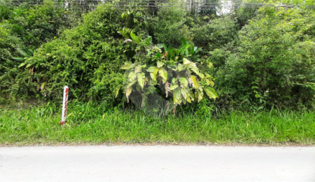 Chácara à venda em Serra da Cantareira, Mairiporã, SP