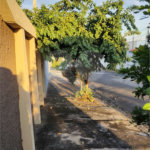 Casa à venda com 4 quartos, sendo 1 suíte, em Jardim Celani, Salto, SP