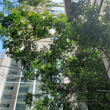 Apartamento à venda com 3 suítes em Jardim Fonte do Morumbi, São Paulo, SP