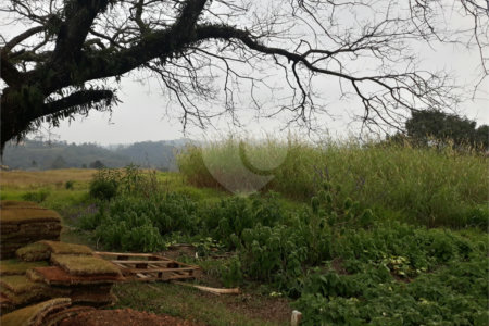 Terreno à venda em Taipas de Pedras (mailasqui), São Roque, SP