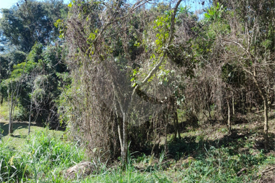 Loteamento à venda em Serra da Cantareira, São Paulo, SP