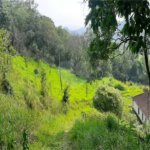 Casa Térrea à venda com 3 quartos, sendo 1 suíte, em Rio Abaixo, Mairiporã, SP