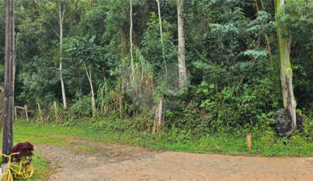 Terreno à venda em Pavão (canguera), São Roque, SP
