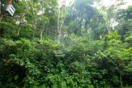 Terreno à venda em Vila Santo Antônio, São Roque, SP
