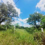 Lote à Venda – Oportunidade! 1.000 m² – Recanto Campestre Internacional de Viracopos (Gleba 4) – Indaiatuba/SP