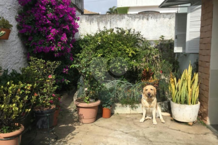 Sobrado à venda na Mooca
