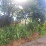 Terreno à venda em Vale Verde, Valinhos, SP