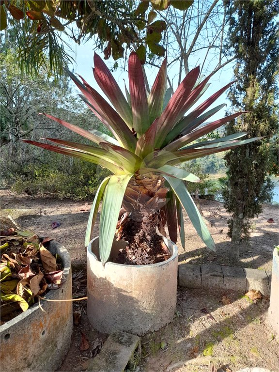 Sítio à venda no Centro, Salesópolis, SP