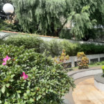 Apartamento à venda com 2 quartos, sendo 1 suíte, em Casa Verde, São Paulo, SP