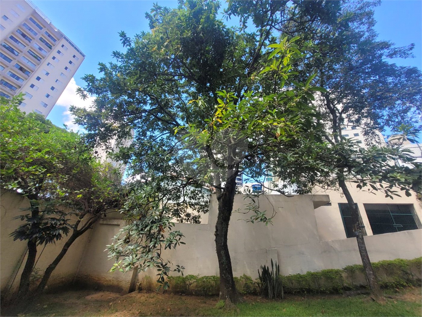 Apartamento à venda com 3 quartos em Santana, São Paulo, SP