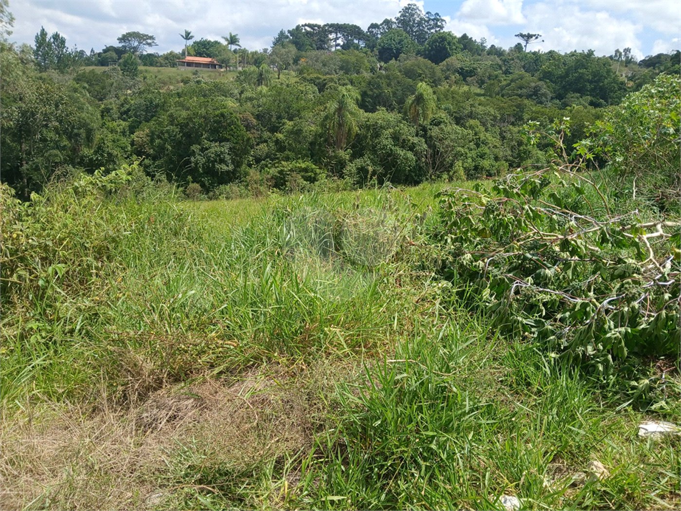 Terreno à venda com 1 quarto em Bairro Biscoito Duro, Itapetininga, SP