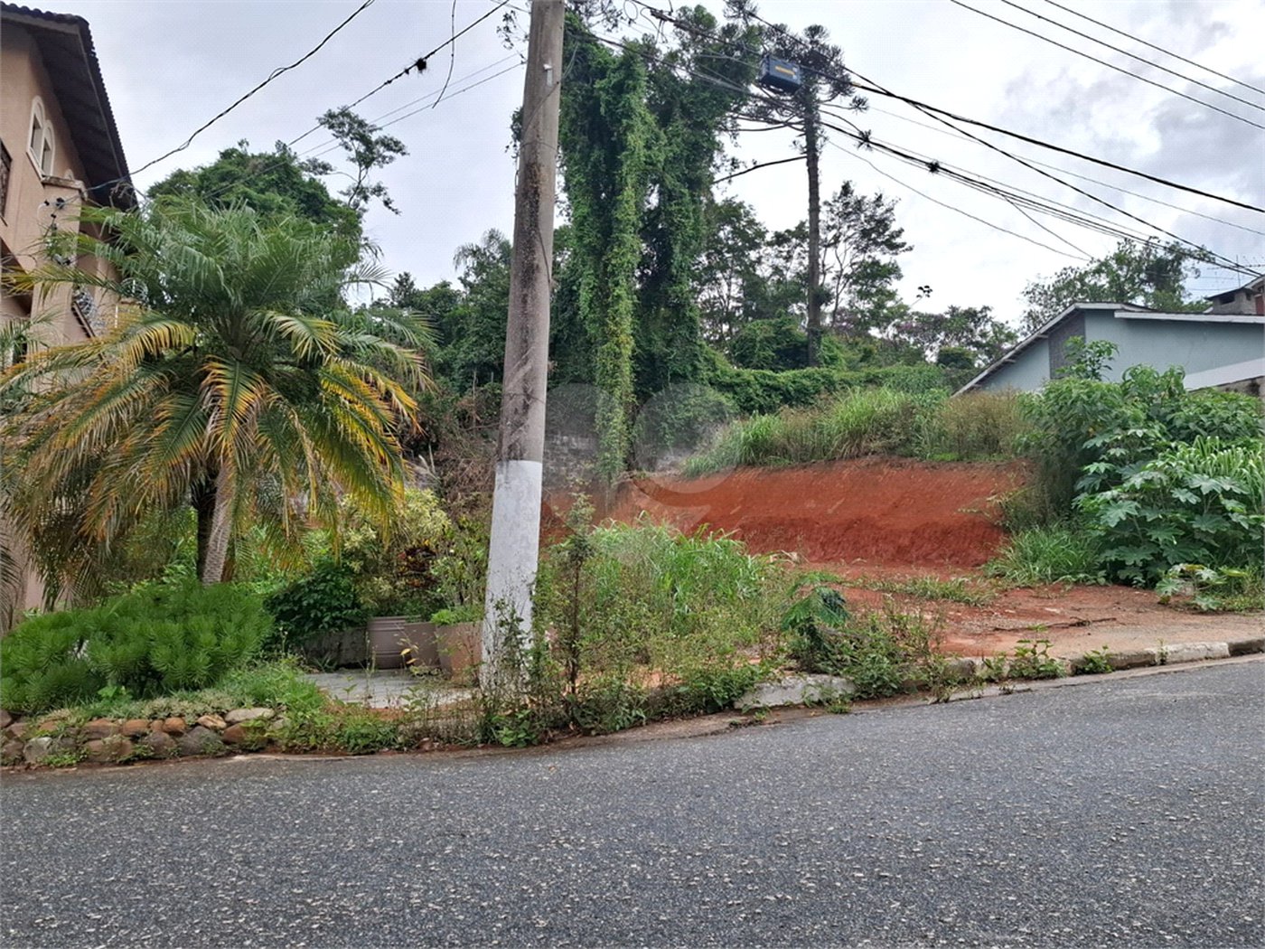 Terreno à venda em Vila Albertina, São Paulo, SP