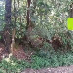 Terreno à venda em Tremembé, São Paulo, SP