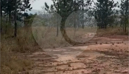 Terreno à venda em Vila Industrial, Bom Jesus dos Perdões, SP