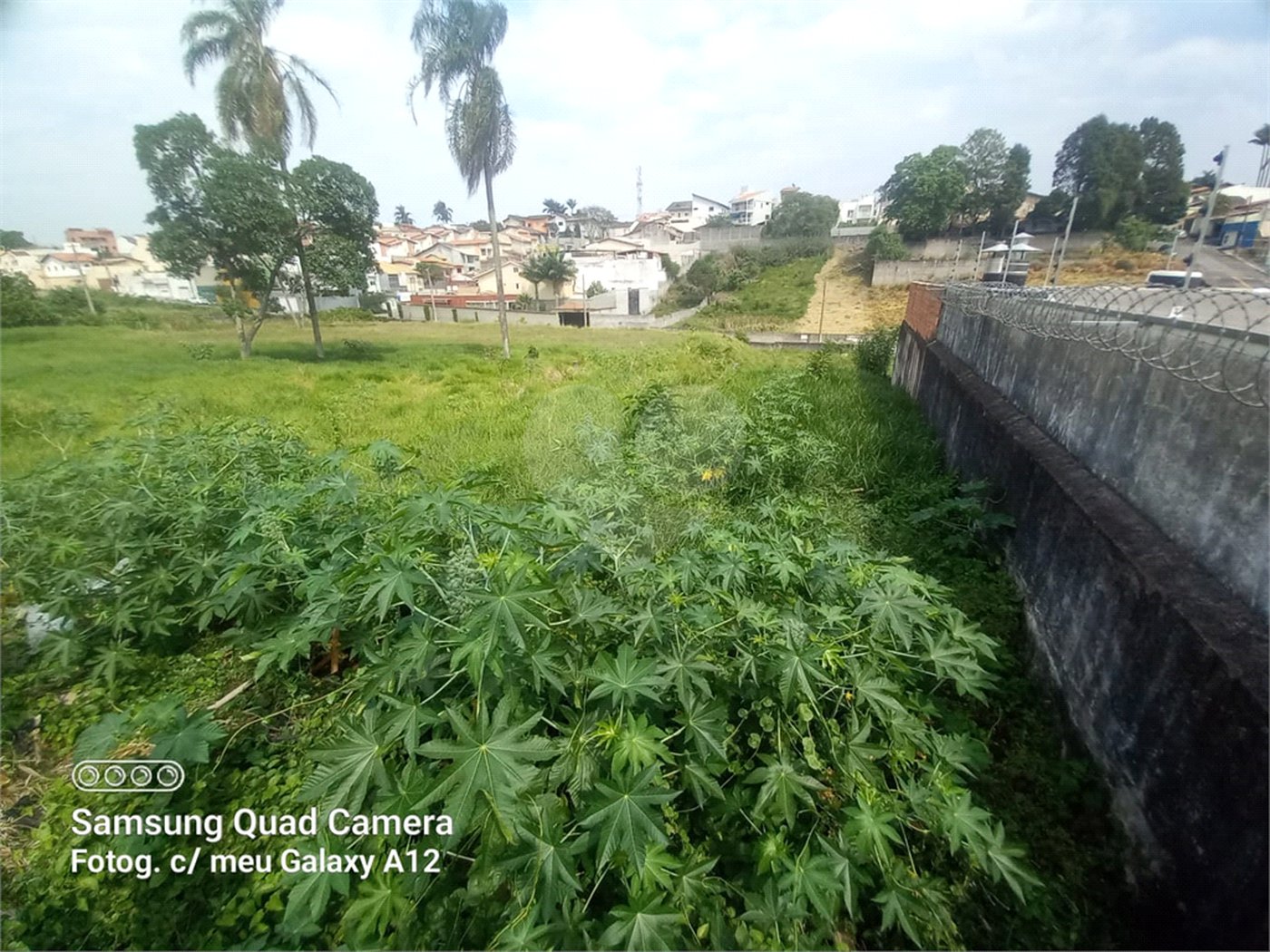 Terreno à venda em Vila Oliveira, Mogi das Cruzes, SP