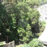 Terreno à venda em Horto Florestal, São Paulo, SP
