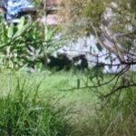 Terreno à venda ou para alugar no condomínio Giovanni Gronchi, São Paulo - SP