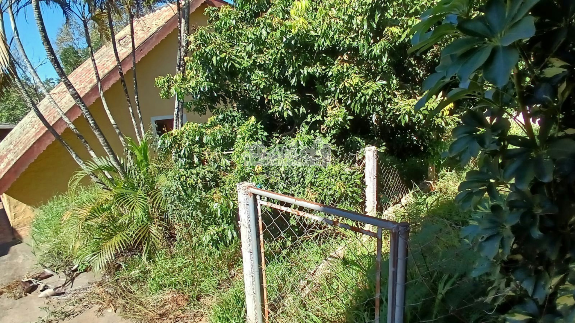 Chácara, 3 quartos, 1000 m² - Foto 10