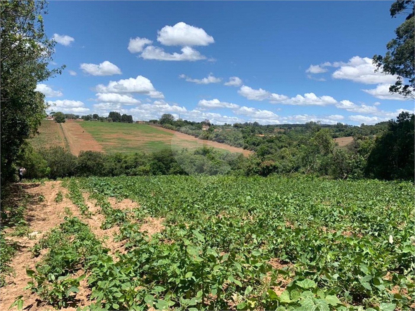 Área de Terra à venda em Cristóvão, Araçoiaba da Serra, SP