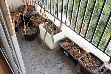 Apartamento à venda ou para alugar com 3 quartos, sendo 1 suíte,  em Vila Suzana, São Paulo, SP