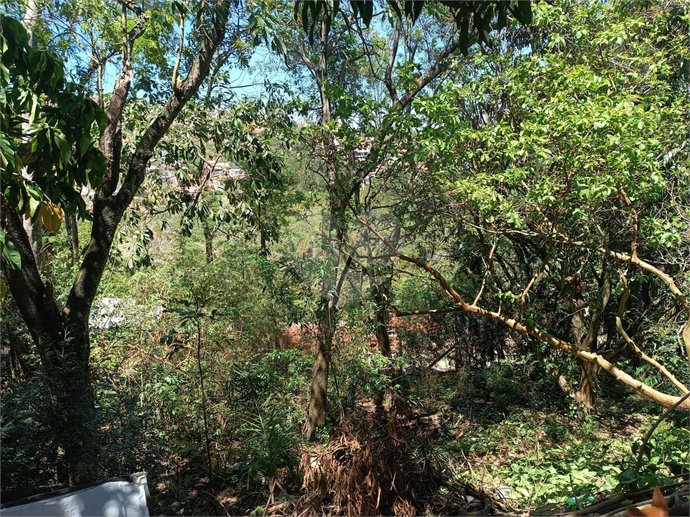 Chácara à venda com 3 quartos, sendo 1 suíte, em Jardim Waldez, Mairinque, SP