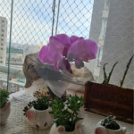 Apartamento à venda com 2 quartos, sendo 1 suíte,  em Barra Funda, São Paulo, SP