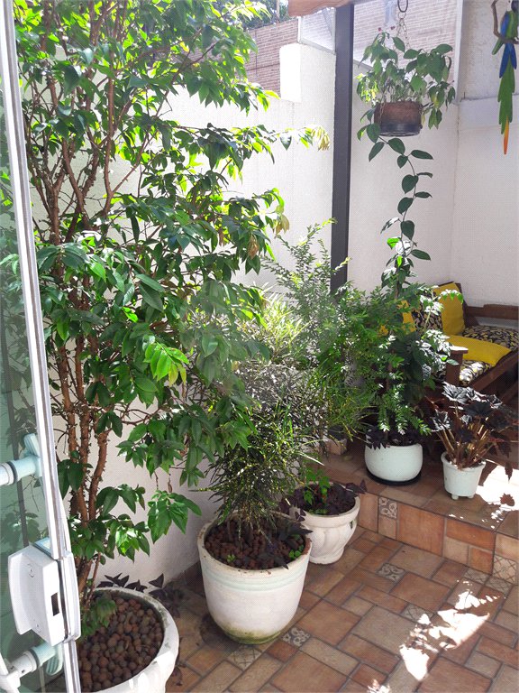 Casa à venda com 2 quartos no condomínio Nova Vida, São Paulo - SP